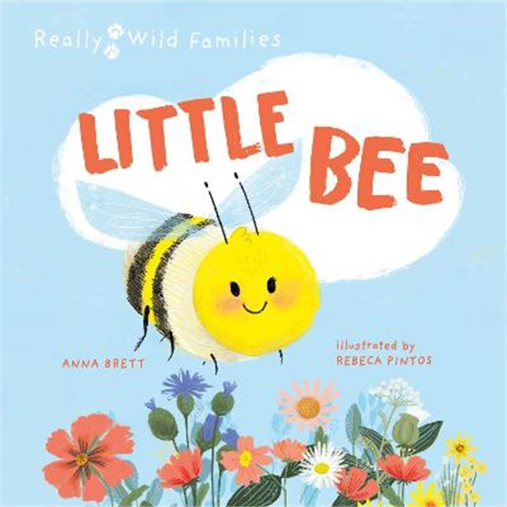 Little Bee: A Day in the Life of the Bee Brood (Hardback) - Rebeca Pintos